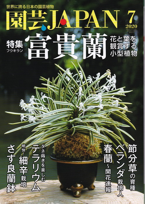 弊社夏の蘭展広告掲載・富貴蘭特集ほか 園芸JAPAN2020年7月号