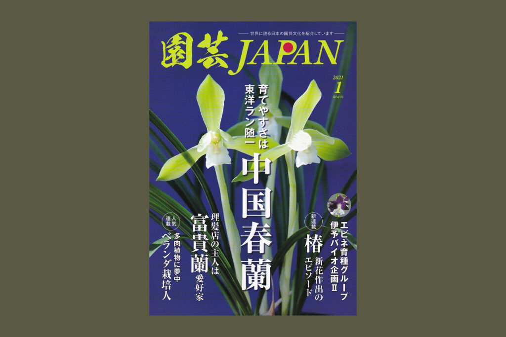 2021年新春【初売り蘭展】広告掲載・園芸JAPAN2021年新春1月号
