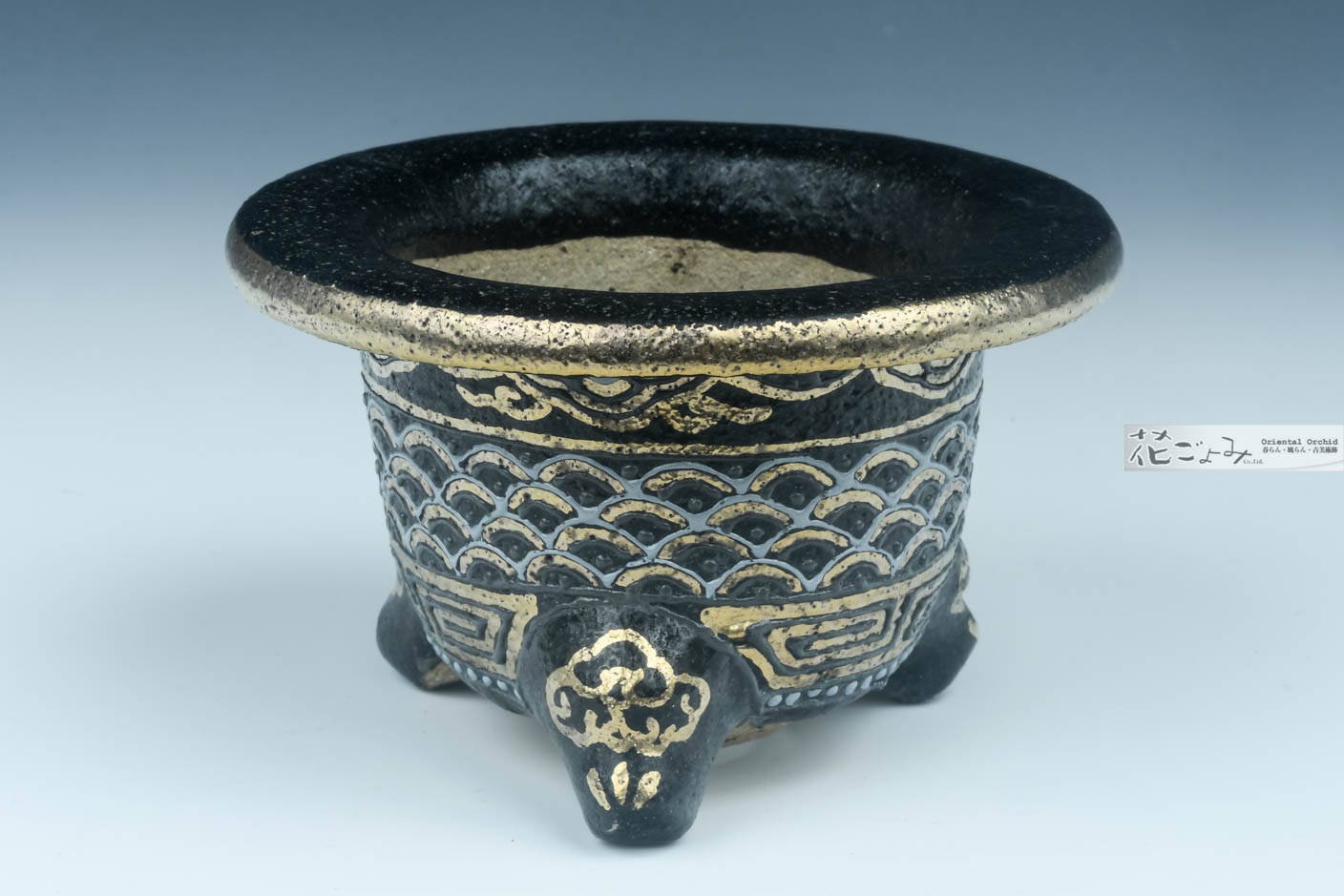 蘭鉢布施覚 盆栽 富貴蘭 春蘭 寒蘭 中国蘭 蘭鉢 古鉢 布施