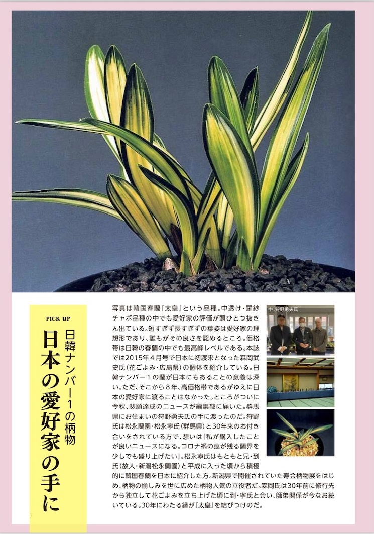 太皇のニュース・花ごよみ2024年初売り広告掲載・【園芸JAPAN2024年1月号】
