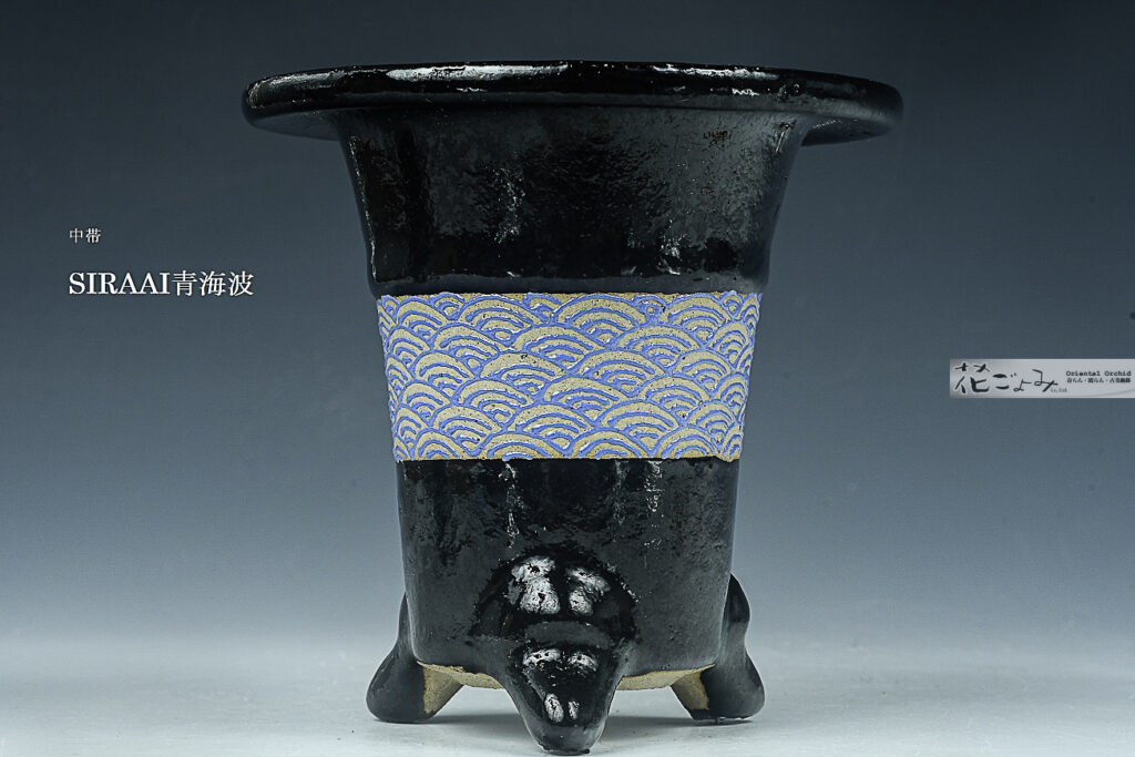 最新作！【中帯・SIRAAI青青海波文・古鉢型万年青鉢】3寸