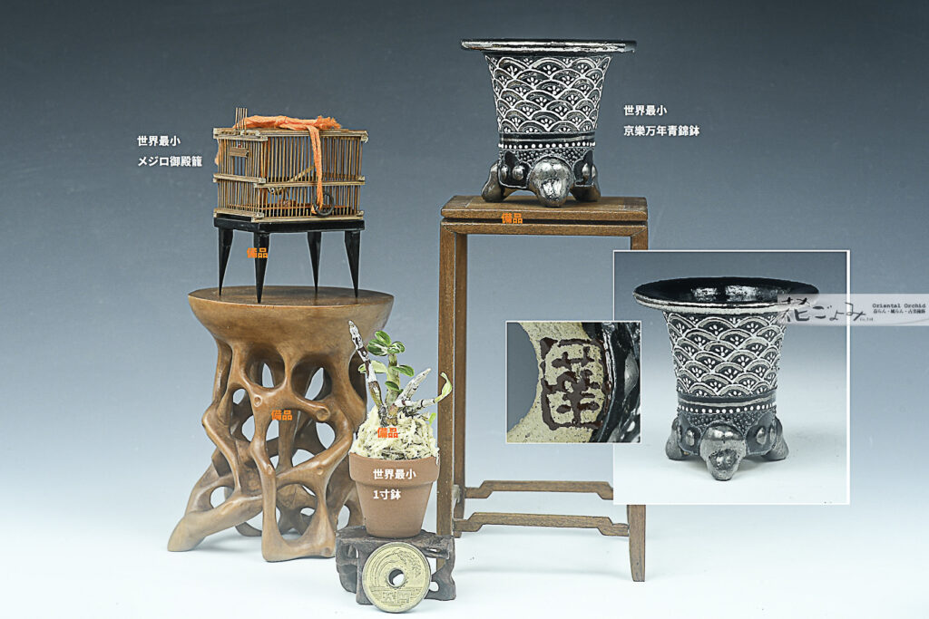 最新作！別製【プラチナ彩・青海波文太鼓鋲京樂ミニ万年青錦鉢】2寸