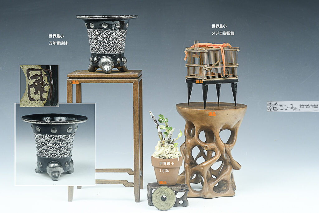 最新作！別製【プラチナ彩・青海波文太鼓鋲胴京樂ミニ万年青錦鉢】2寸