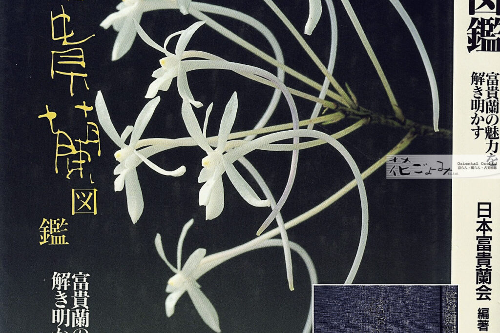 希少絶版【富貴蘭図鑑】B5 変形版