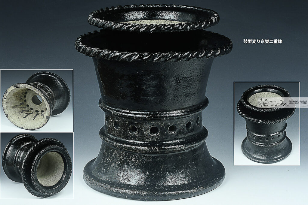 商品を探す-鉢 - 東洋蘭専門店 花ごよみ | 春蘭・富貴蘭など通販ならお