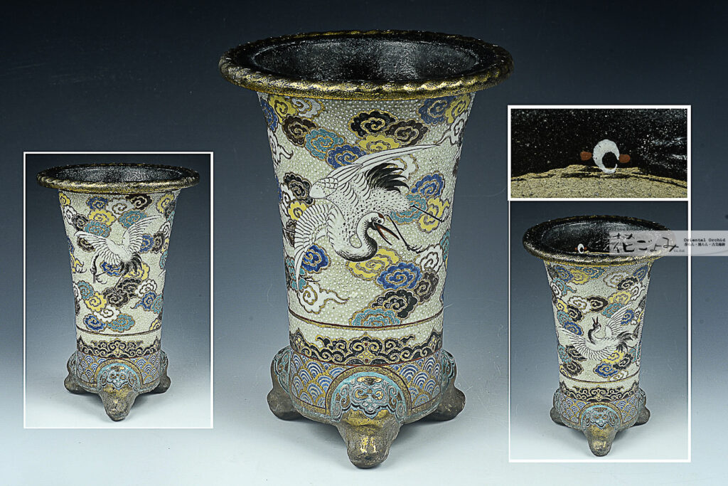 蘭界の至宝【五柳作・雲鶴文白胴蘭鉢】