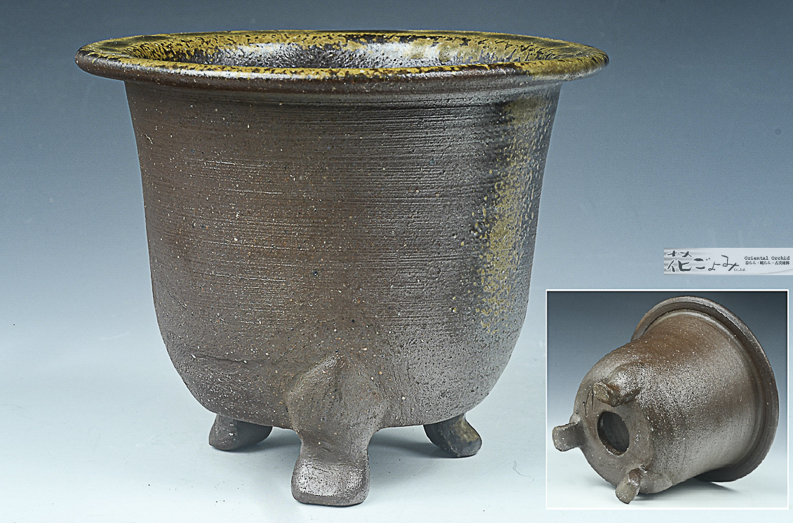 大饗猛作【備前焼窯変蘭鉢】2 - 東洋蘭専門店 花ごよみ | 春蘭・富貴蘭