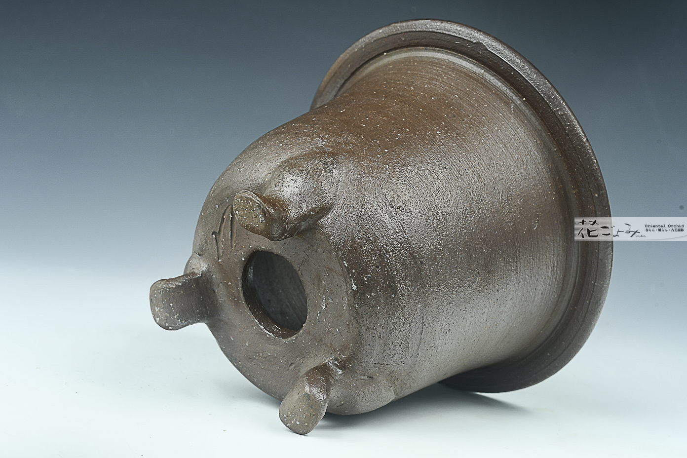 大饗猛作【備前焼窯変蘭鉢】2 - 東洋蘭専門店 花ごよみ | 春蘭・富貴蘭