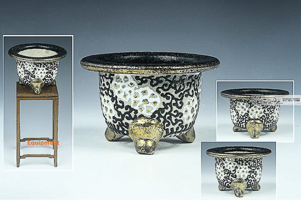 お年玉価格【梅花・黒唐草文・富貴蘭京樂錦鉢】3寸・新古品