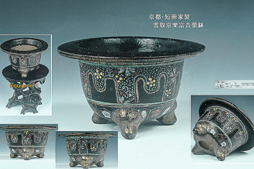 短冊家製【雲取櫻梅文・京樂富貴蘭古鉢】