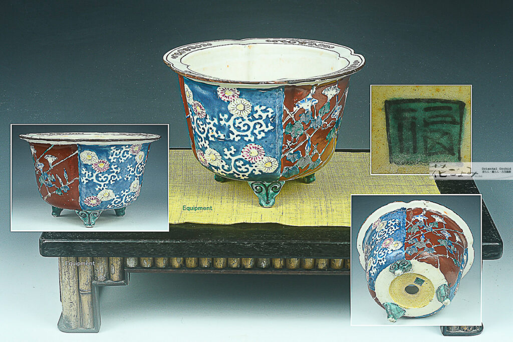 角福【輪花・小菊朝顔鉢】