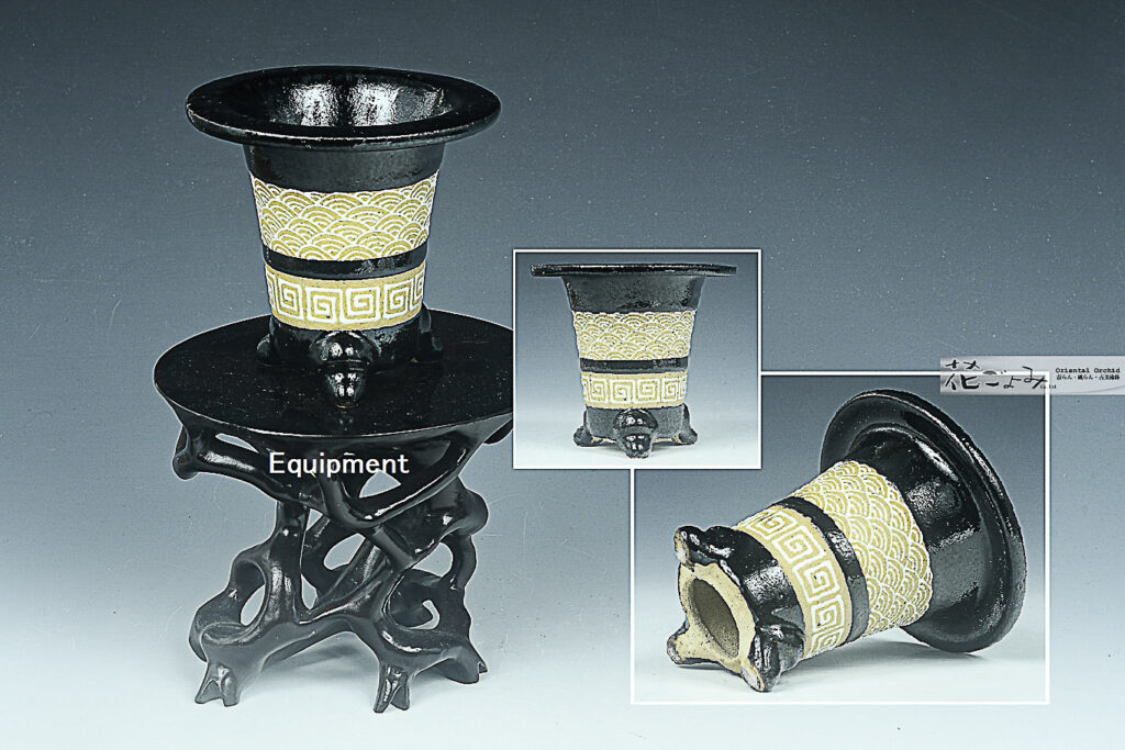 最新作【白青海波・雷門・二重中帯・古鉢型万年青鉢】