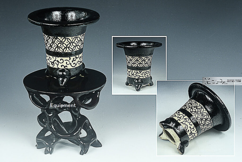 最新作【古鉢意匠・二重中帯・黒七宝文黒唐草文万年青鉢】3,3寸・愛樂園製・新品未使用