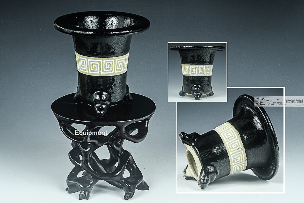 最新作【古鉢意匠・中帯白雷門万年青鉢】3,5寸・愛樂園製・新品未使用