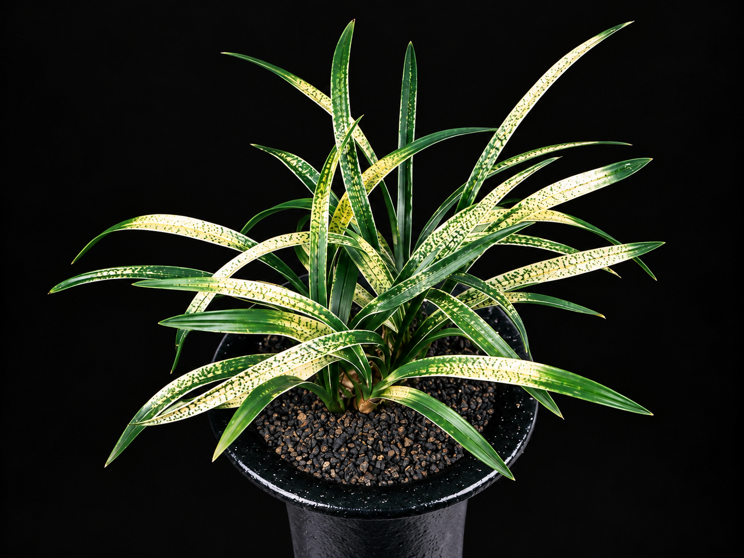 s-4794