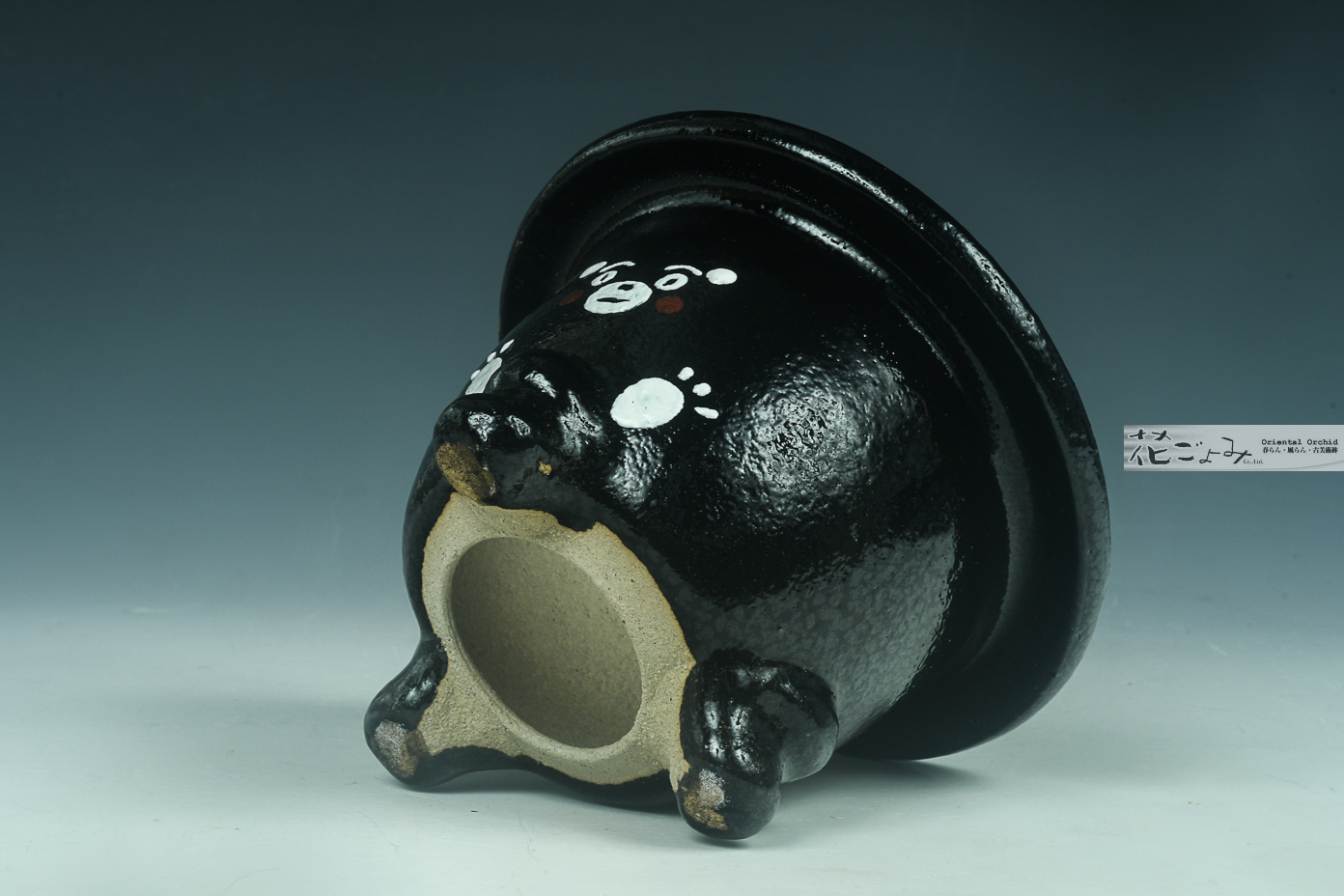 k-884