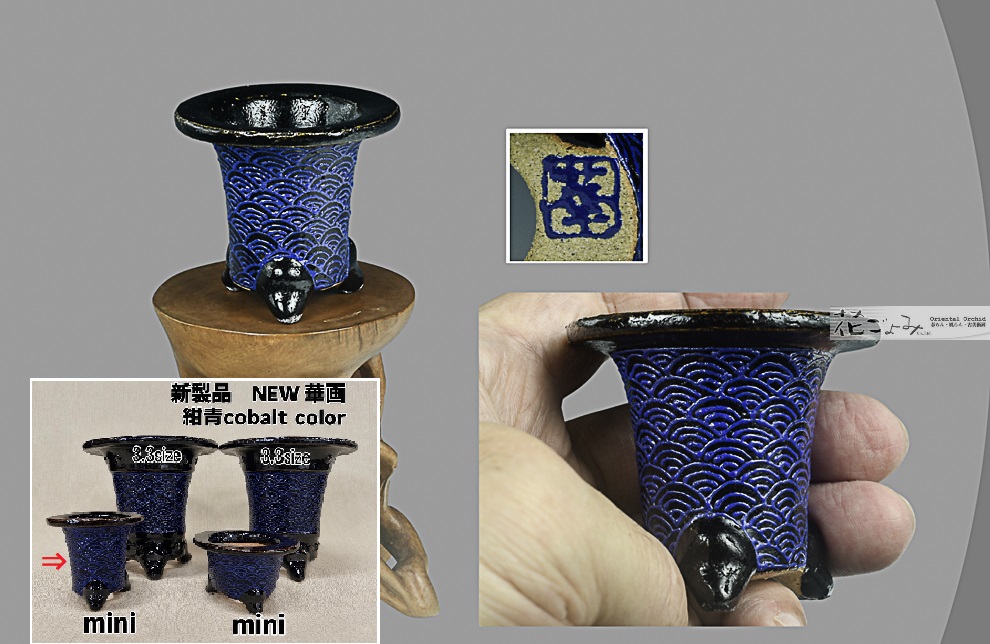 ミニ鉢最新作！【cobalt紺青青海波文万年青鉢】2寸
